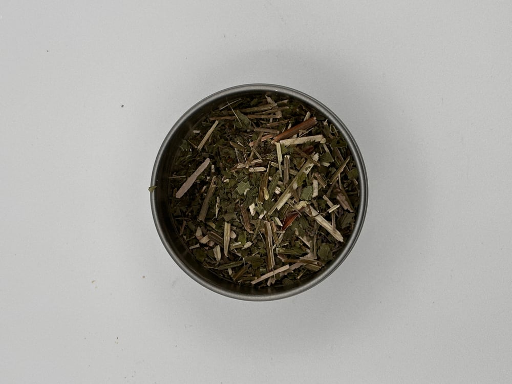 Blue Vervain