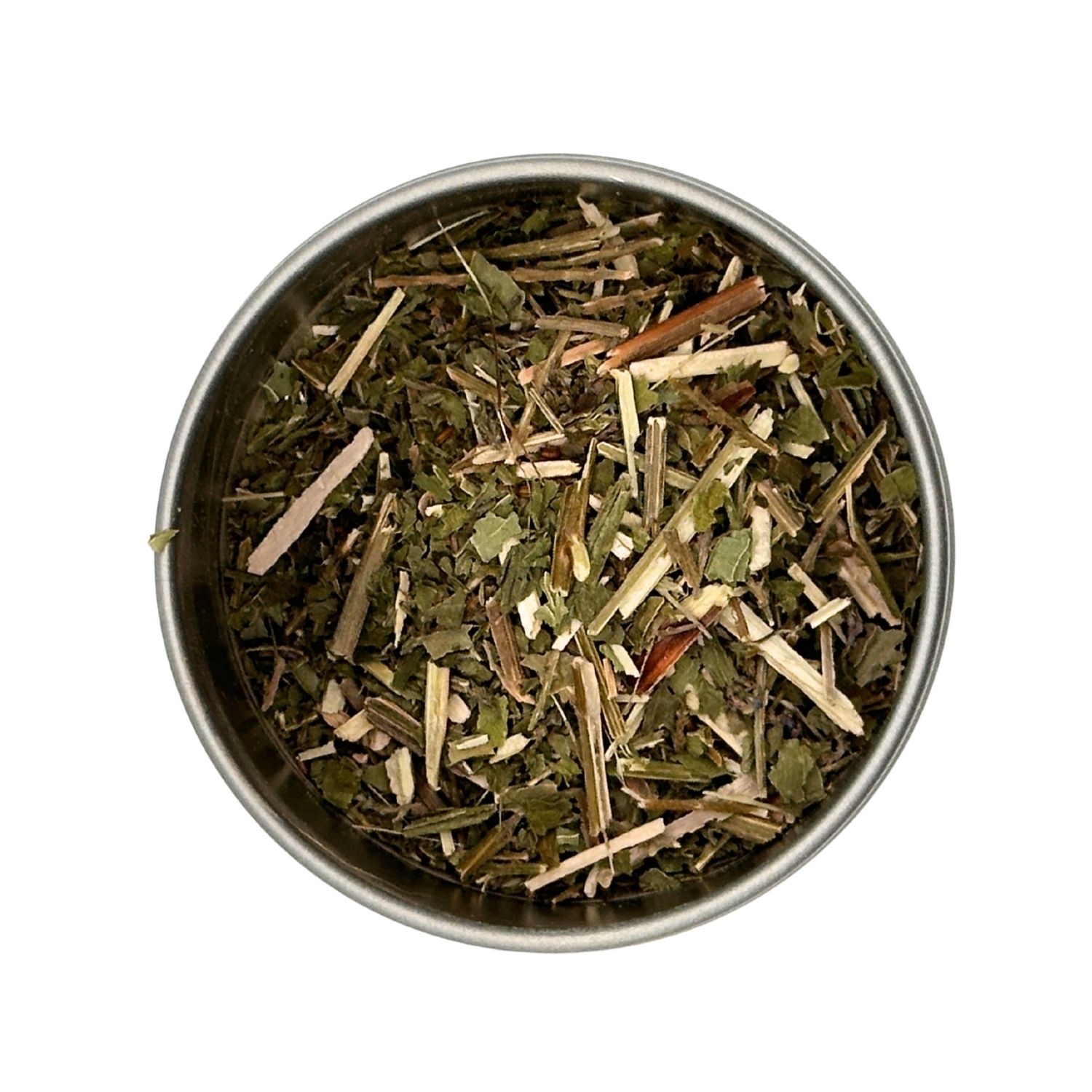 Blue Vervain