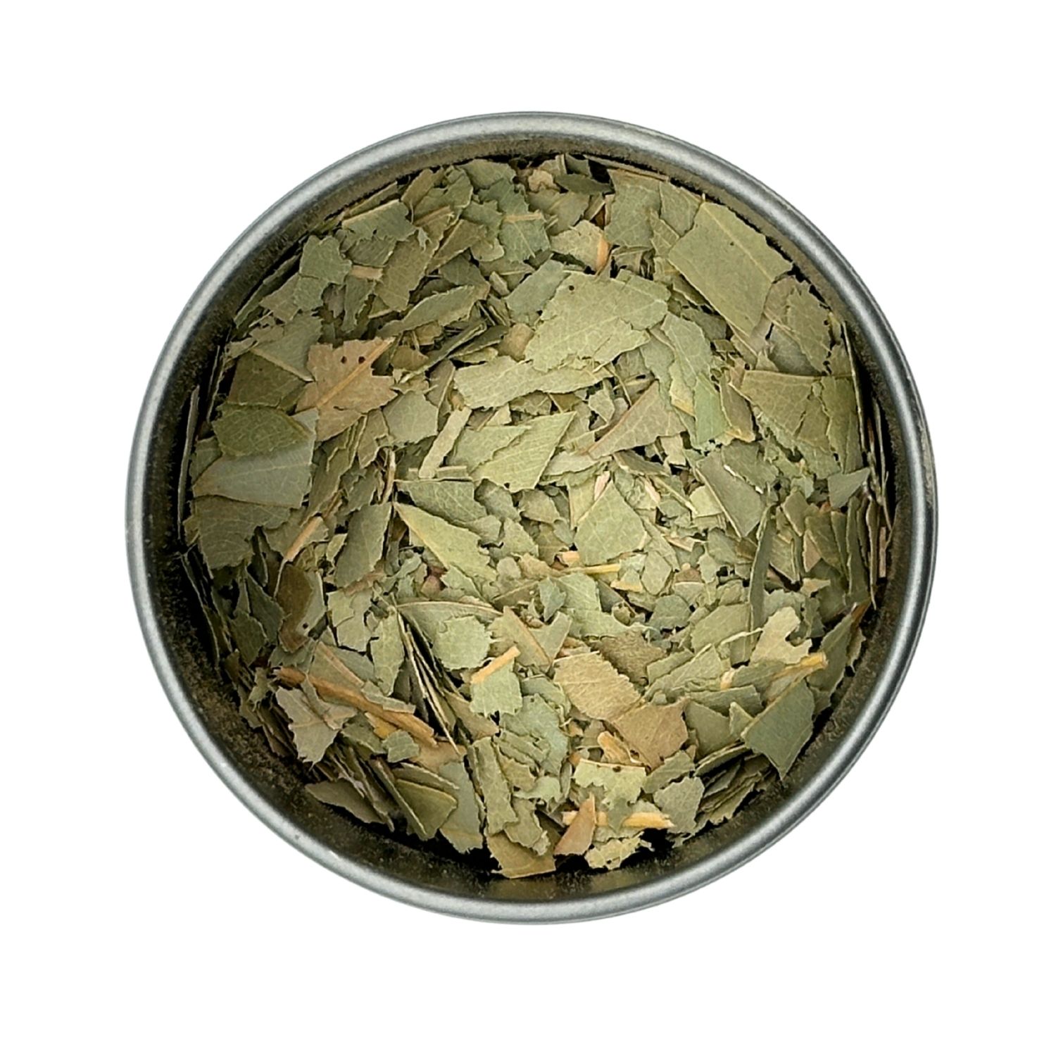 Eucalyptus Leaf
