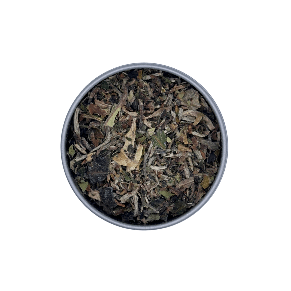Loose Leaf White Tea