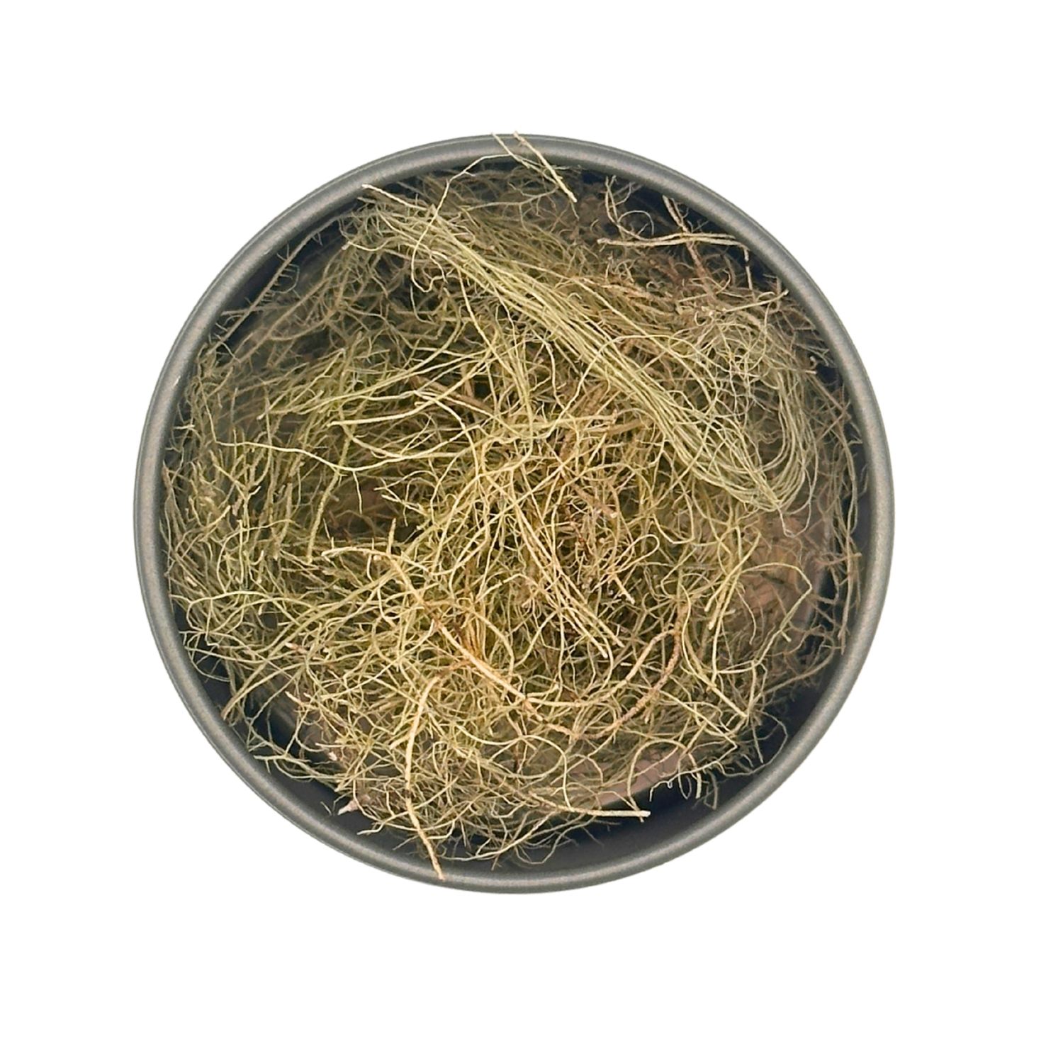 Usnea